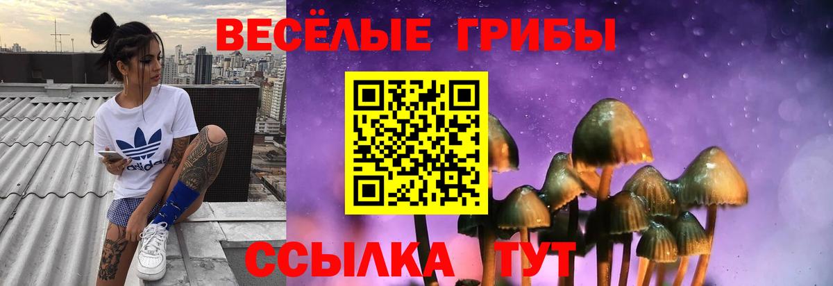 где найти   Галлюциногенные грибы мухоморы  Вход с VPN  Наро-Фоминск 
