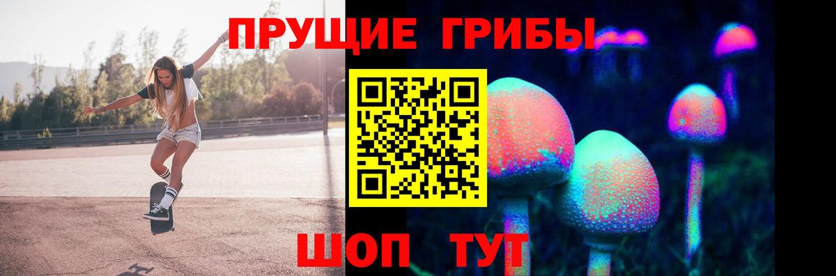 Галлюциногенные грибы Cubensis Наро-Фоминск